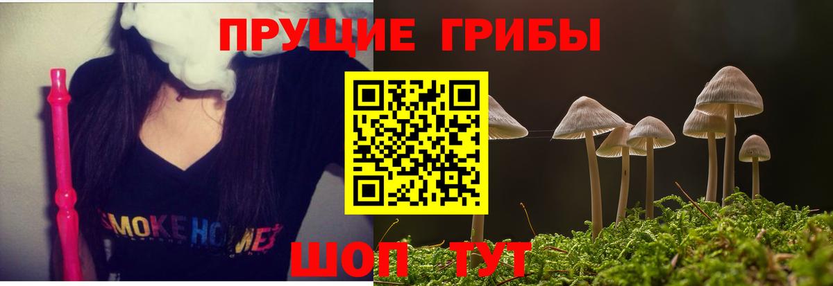 Псилоцибиновые грибы Magic Shrooms  Вход с VPN  Апшеронск 